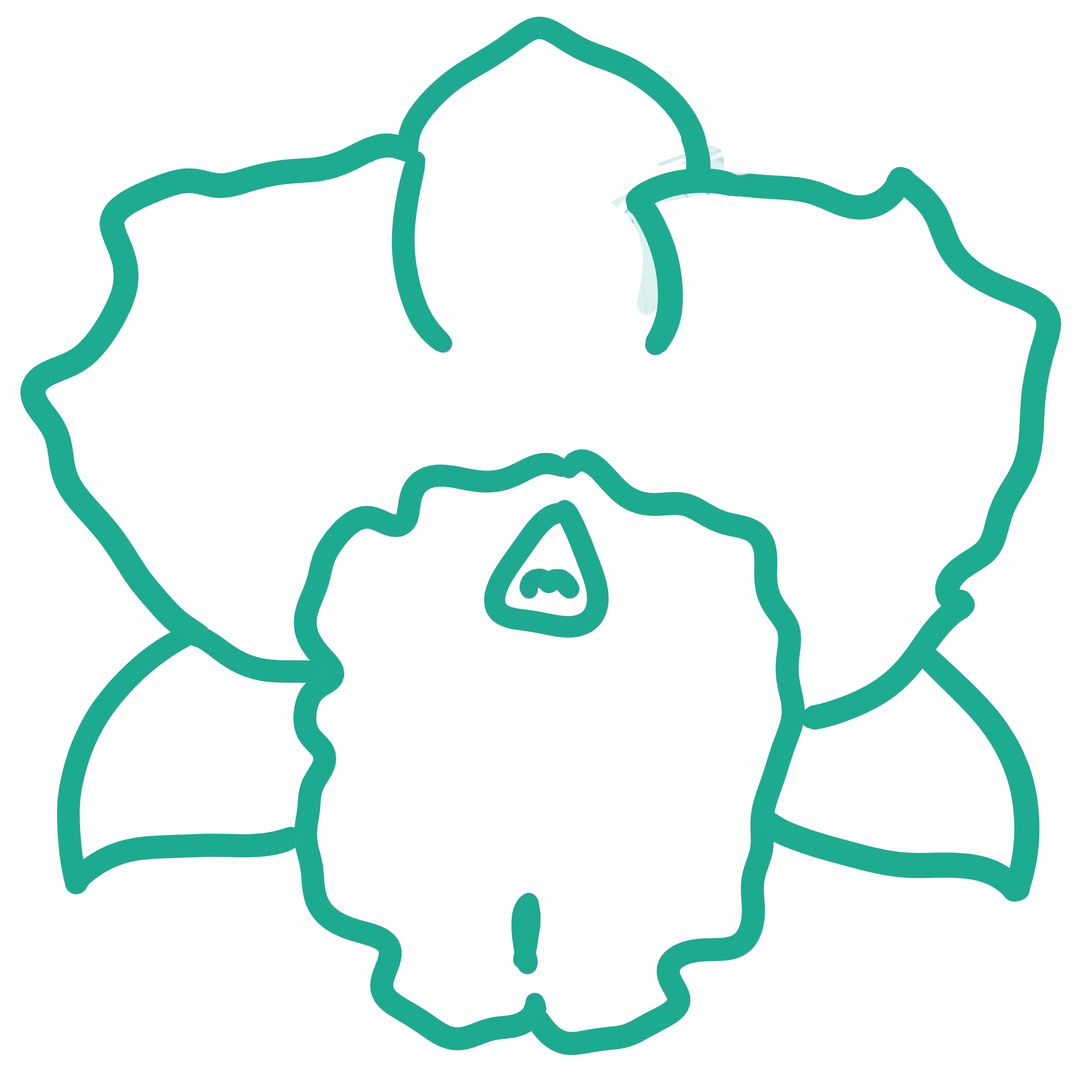 Cattleya - 'Volcano Queen'