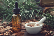 Unlocking the Secrets of Pine Bark Extract