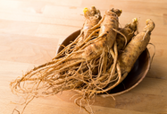 Panax Ginseng: A Staple in Eastern Medicine