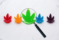 THC Microdosing Benefits