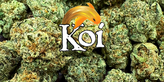KOI CBD THCa Flower