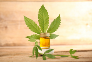 Hemp Distillate: A Journey from Plant to Product