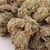 KOI THCA Flower | Orange Gelato Buds Zoomed In | Close Up. Close-up of KOI Orange Gelato THCA Flower showcasing sweet orange aromas and creamy frosty trichomes.