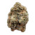 Koi Gold Tier THCa flower Mack Daddy 1 indica strain 3.5g — high-potency lab-tested legal hemp flower, buy online, best quality indica THCa.