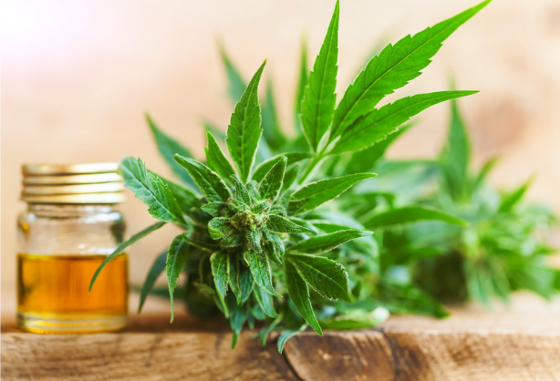 Hemp-Derived CBD & THC Category