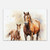 Farmhouse Style Horse & Foal Canvas Print - Wall Art