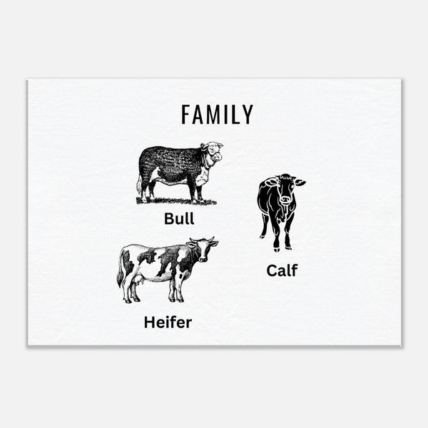 Family Bull Canvas Print –Wall Art