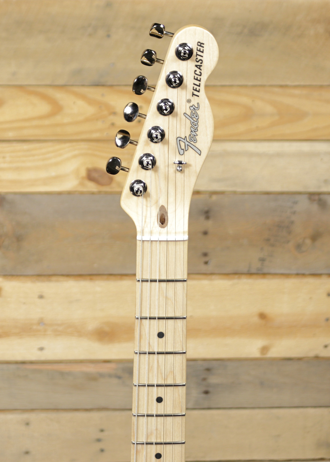 Fender American Performer Sassafras Telecaster Mocha w/ Gigbag