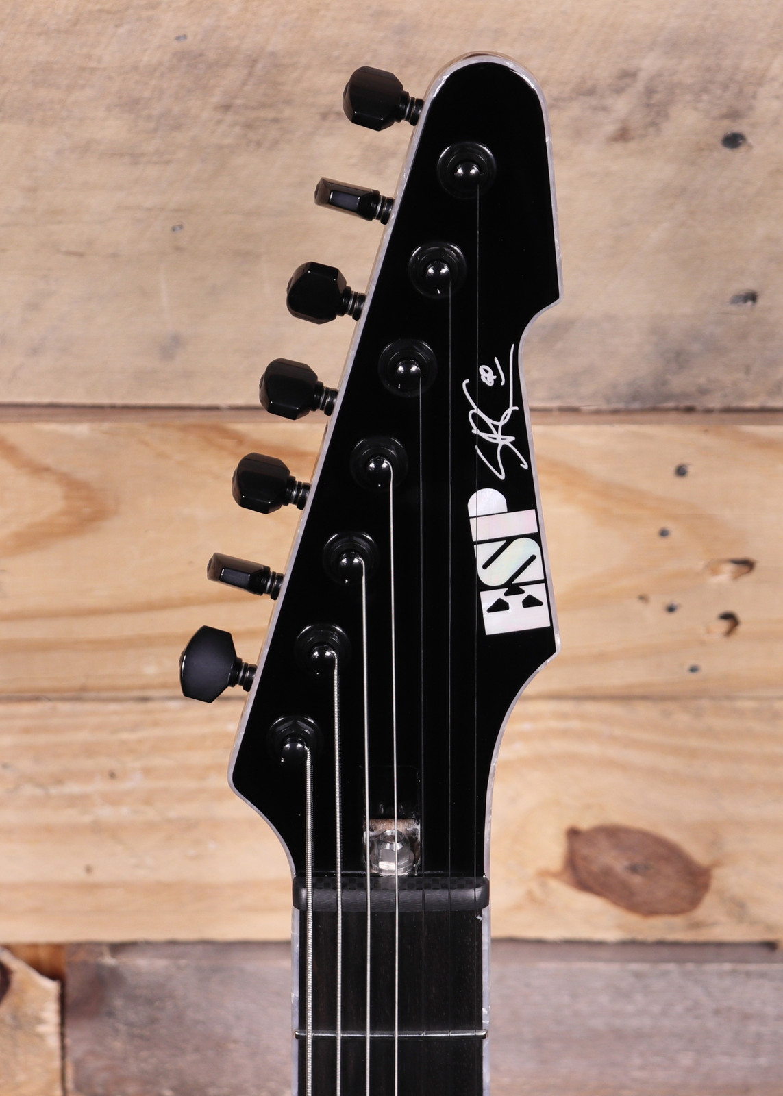 ESP Stephen Carpenter Signature STEF-T7B 7-String Electric Guitar