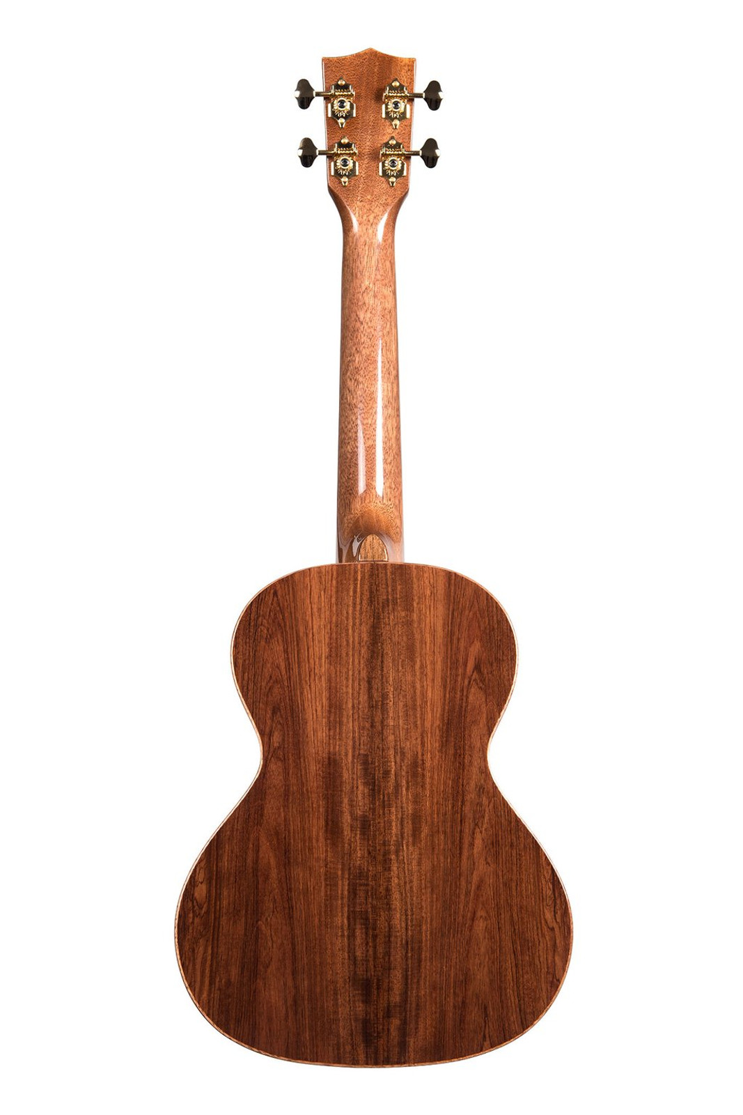 Kala Limited Edition Ka-Srt-Sc Scallop Series Tenor Ukulele