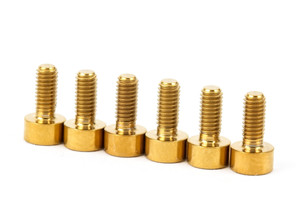 FU-Tone Titanium Saddle Mounting Screw 6-String Set Gold FU-Tone Titanium Saddle Mounting Screw 6-String Set Gold