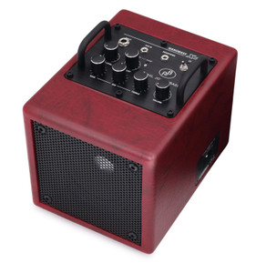 Phil Jones Bass X4 NanoBass Combo Amp - Red Phil Jones Bass X4 NanoBass Combo Amp - Red