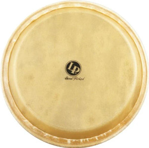 Latin Percussion Replacement Conga Head 11-3/4"