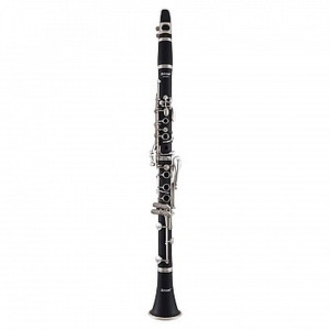 Selmer CL201N Clarinet Outfit Selmer CL201N Clarinet Outfit