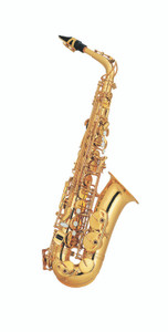 HUNTER Eb Alto Sax Outfit - Gold Lacquer