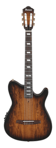 Ibanez FRH20SMN Nylon Acoustic/Electric Guitar Tobacco Burst