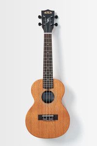 Kala James Hill Signature Solid Top Mahogany Concert Ukulele - 1