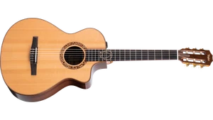Taylor Jason Mraz Signature Model (JMSM) Nylon-String Grand Concert Acoustic-Electric Guitar - Natural