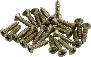 Fender Road Worn® Pickguard/Control Plate Screws (24) - Nickel