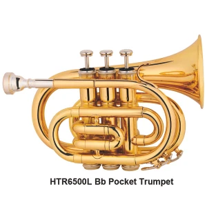Hunter 6500L Bb Pocket Trumpet Outfit - Lacquer - 1