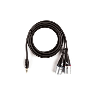 D'Addario Custom Series 1/8 in. to Dual XLR Audio Cable - 6 ft