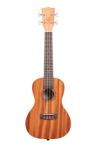 kala thin soprano ウクレレ （Kala KA-FMS LN Flamed Spalted