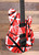 EVH Wolfgang Special Striped Series Electric Guitar w/ Gigbag