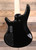 Ibanez GSR205PC 5-String Bass Transparent Pale Black Burst