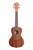 Kala Gloss Mahogany Concert Ukulele - 2