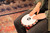 Meinl Percussion 7" Jr. Djembe, Pharaoh's Script