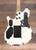 EVH Limited Edition Wolfgang Special Striped Series Electric Guitar Distressed Ivory w/ Gigbag