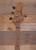 Music Man Short Scale StingRay 4-String Bass Tobacco Burst
