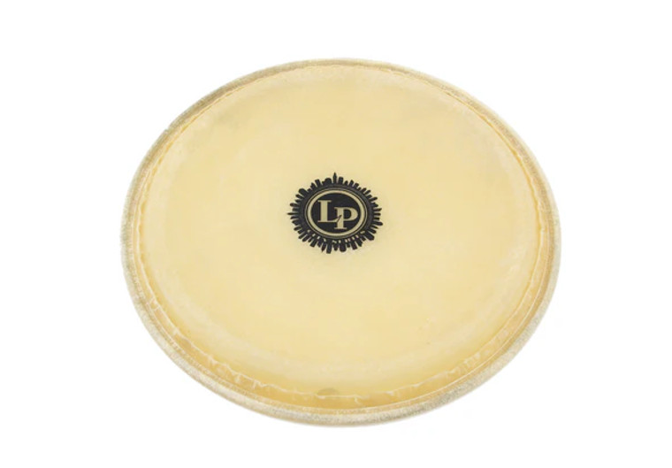 Latin Percussion 11" City Conga Head