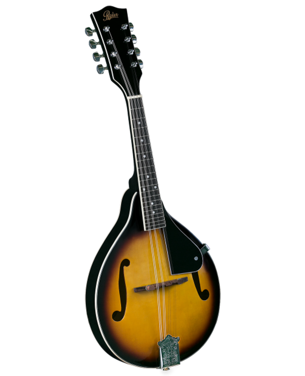 Rover RM-25 A-Style Mandolin - Maple Sunburst