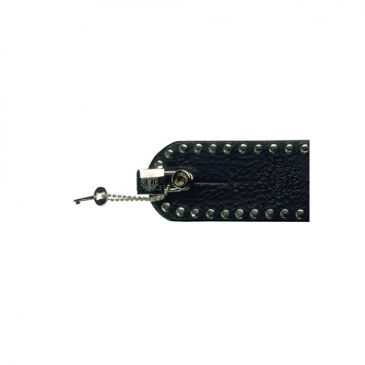 Dimarzio Guitar Lock, Nickel