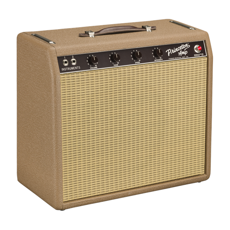 Fender '62 Princeton Chris Stapleton Edition 12W 1x12" Combo Amp "Mint Condition"
