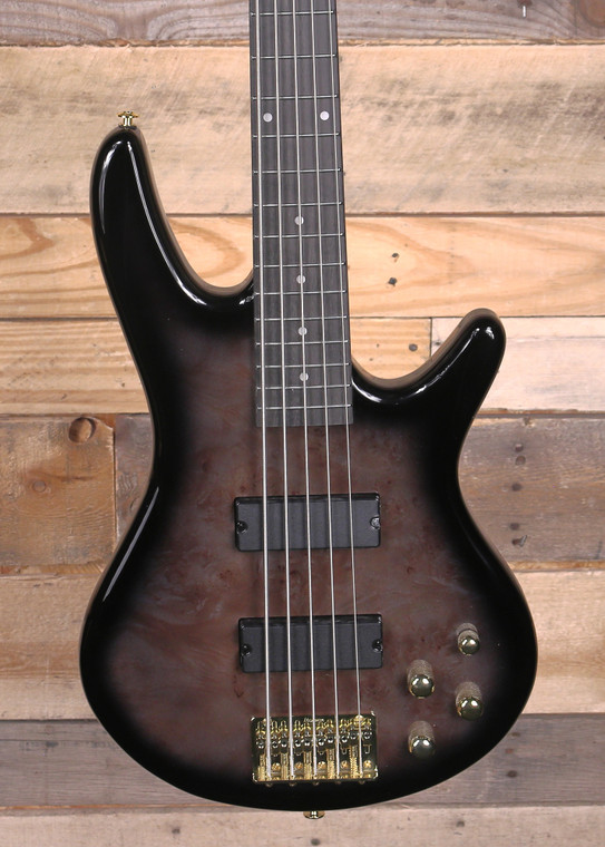 Ibanez GSR205PC 5-String Bass Transparent Pale Black Burst