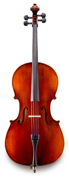 Eastman Samuel 95 4/4 Stradivari Cello Outfit (VC9544S) - 1