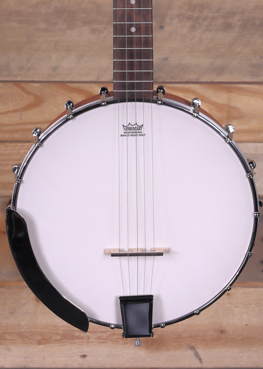 Epiphone MB-100 Banjo Natural