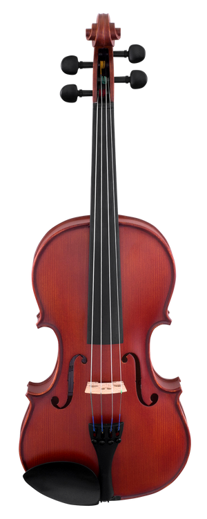 violin__94252.1621971993.500.