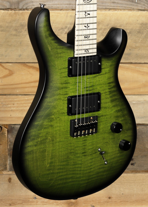 ギター PRS CE made in use IMG_9659__93299.1707423192.500