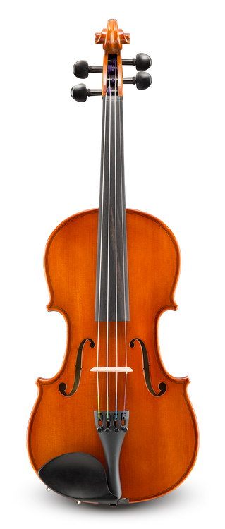 Eastman VL80SBC Student Violin 4/4 Outfit