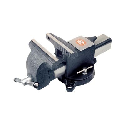 Vise 6in. Steel