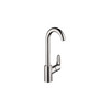 Hansgrohe 04508000 Metris HighArc Prep Kitchen Faucet Chrome