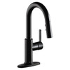 Elkay Avado Single Hole Bar Faucet with Pull-down Spray and Lever Handle Matte Black