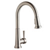 Elkay Everyday Single Hole Deck Mount Kitchen Faucet with Pull-down Spray Forward Only Lever Handle Lustrous Steel