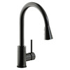 Elkay Avado Single Hole Kitchen Faucet with Pull-down Spray and Forward Only Lever Handle Black Stainless