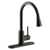 Elkay Avado Single Hole Kitchen Faucet with Pull-down Spray and Forward Only Lever Handle Black Stainless