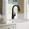 Elkay Avado Single Hole 2-in-1 Kitchen Faucet with Filtered Drinking Water Matte Black