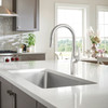 Blanco 442763: Formera Collection 33" Undermount Super Single Bowl Kitchen Sink